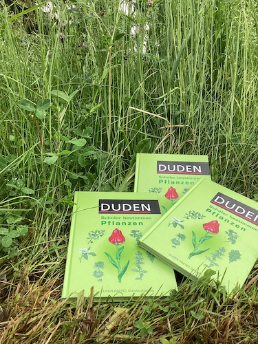 Unterricht im Kulturgarten